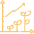 growth