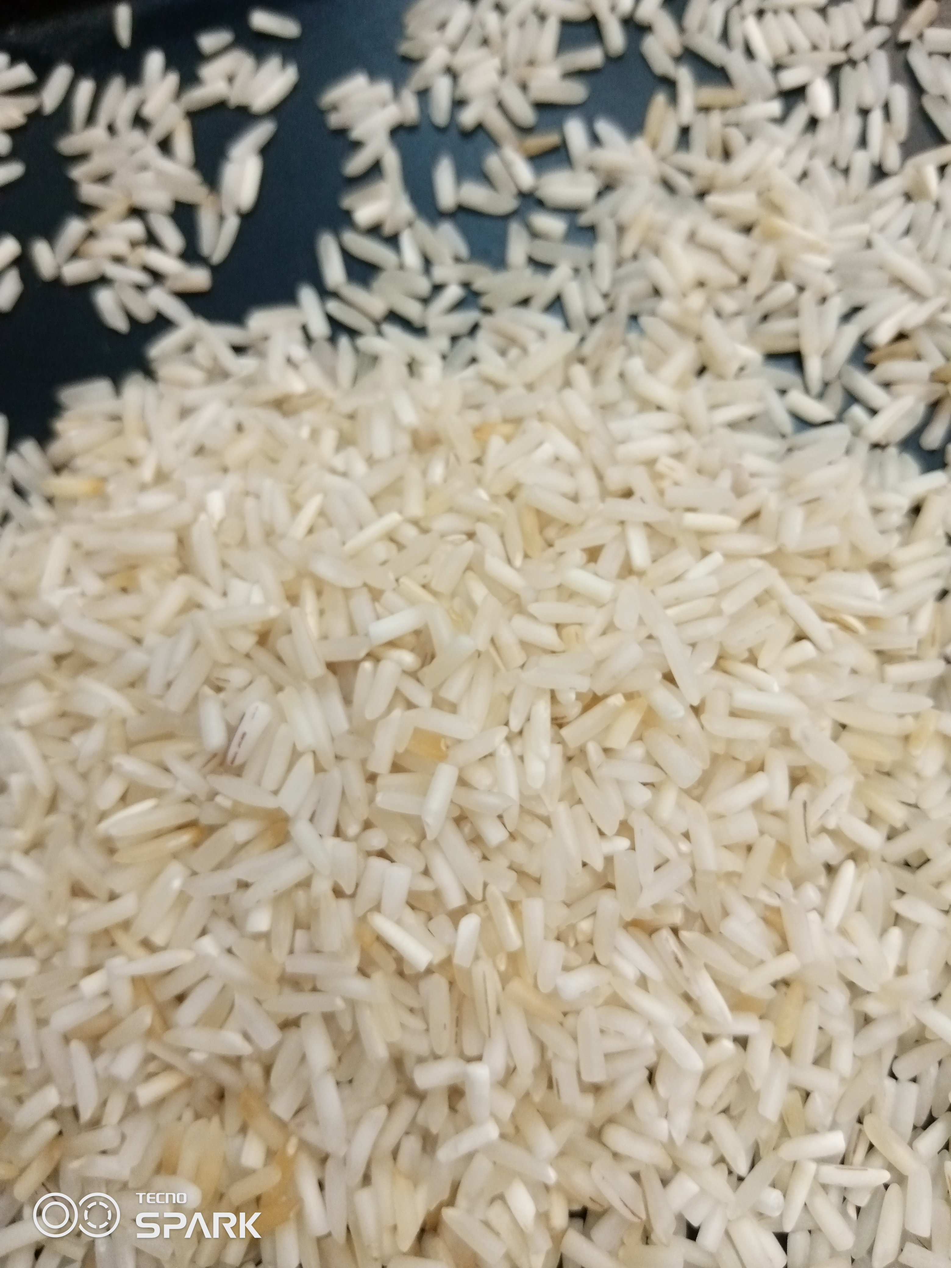 Rice Pk