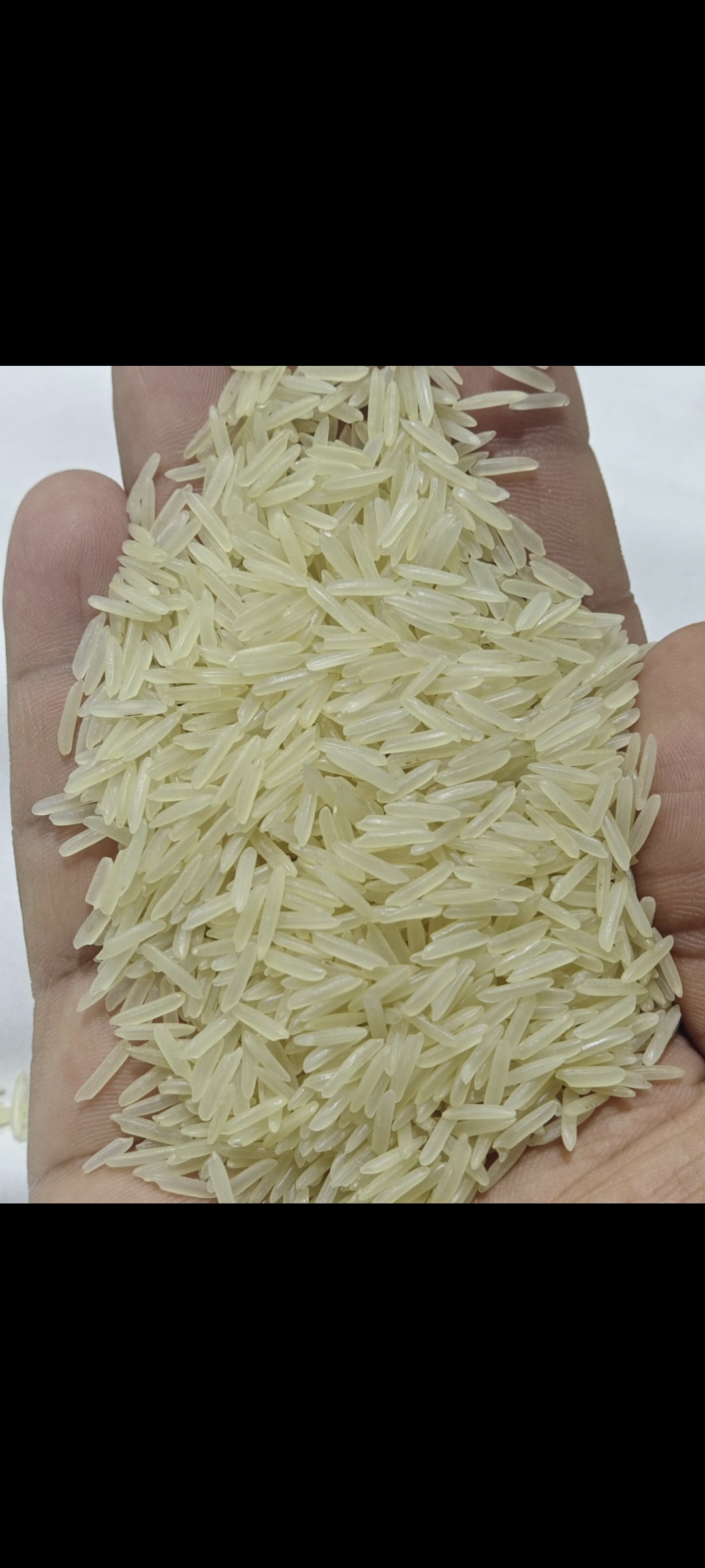 1121 Sella Rice 