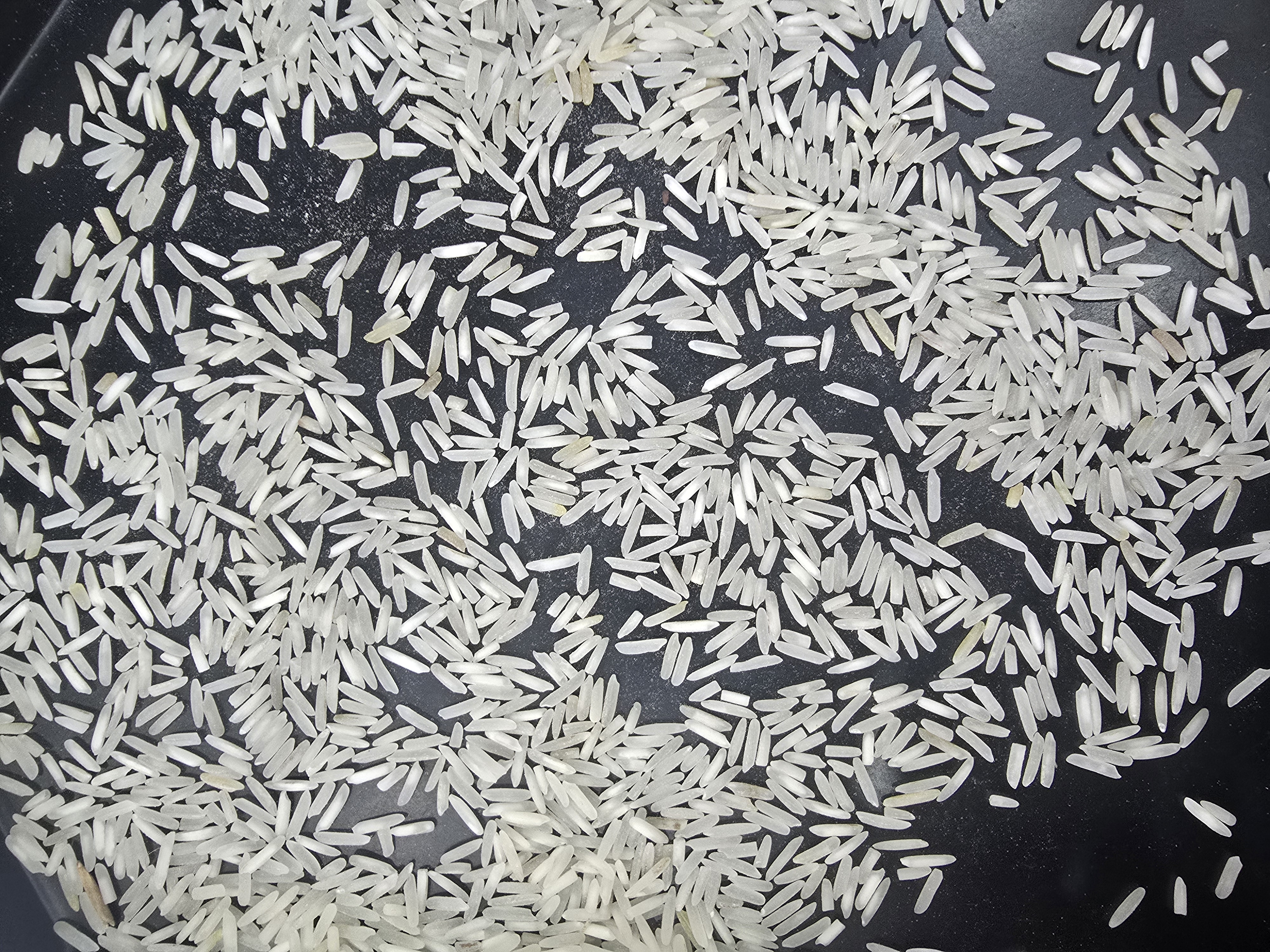 1121 basmati rice 