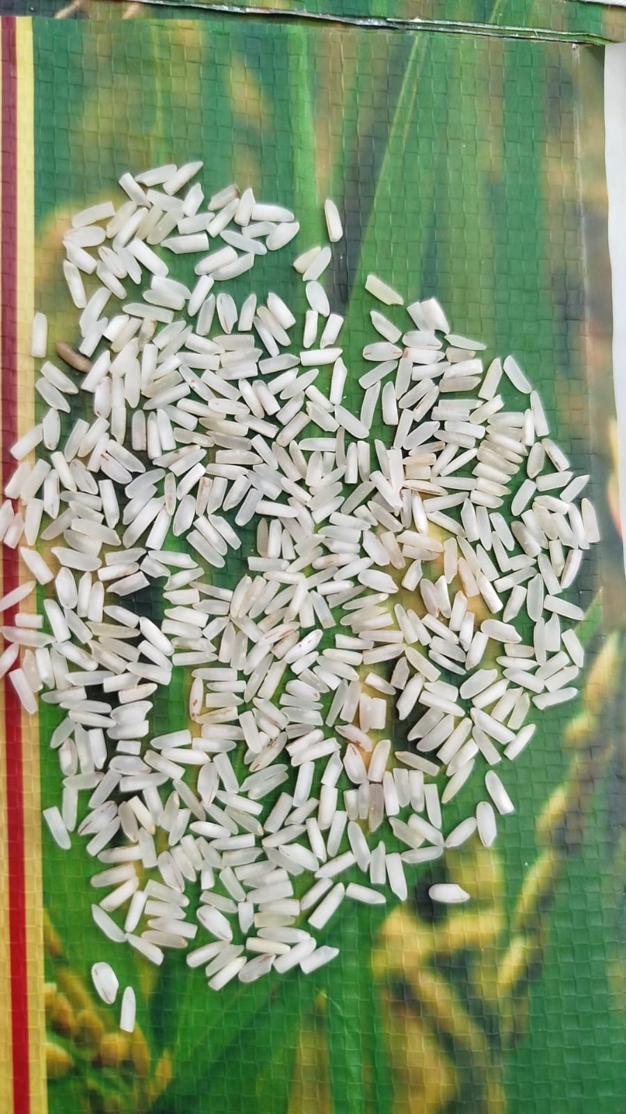 1121basmati  white