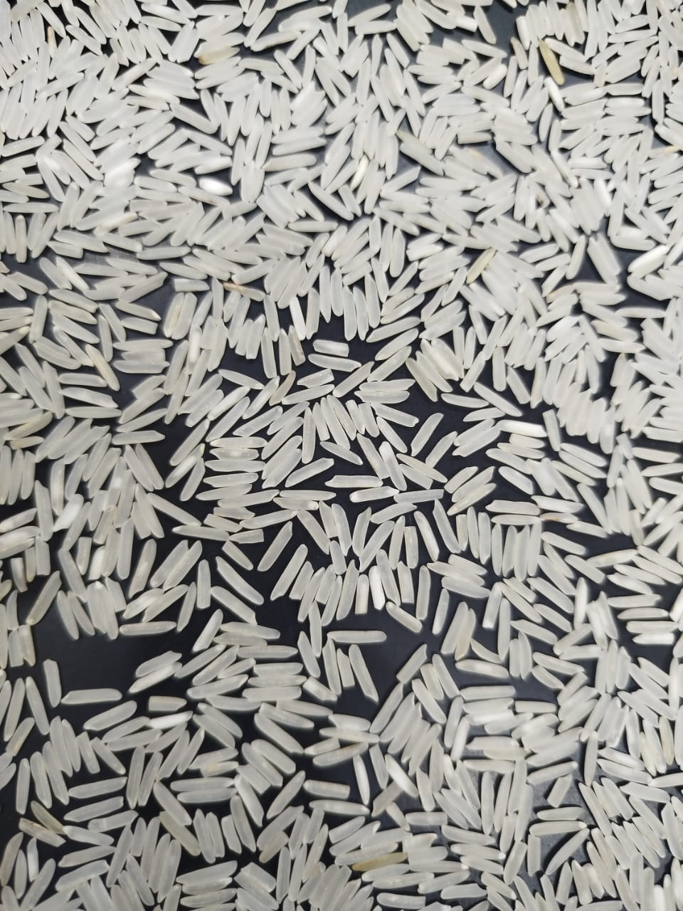 1847 basmati 
