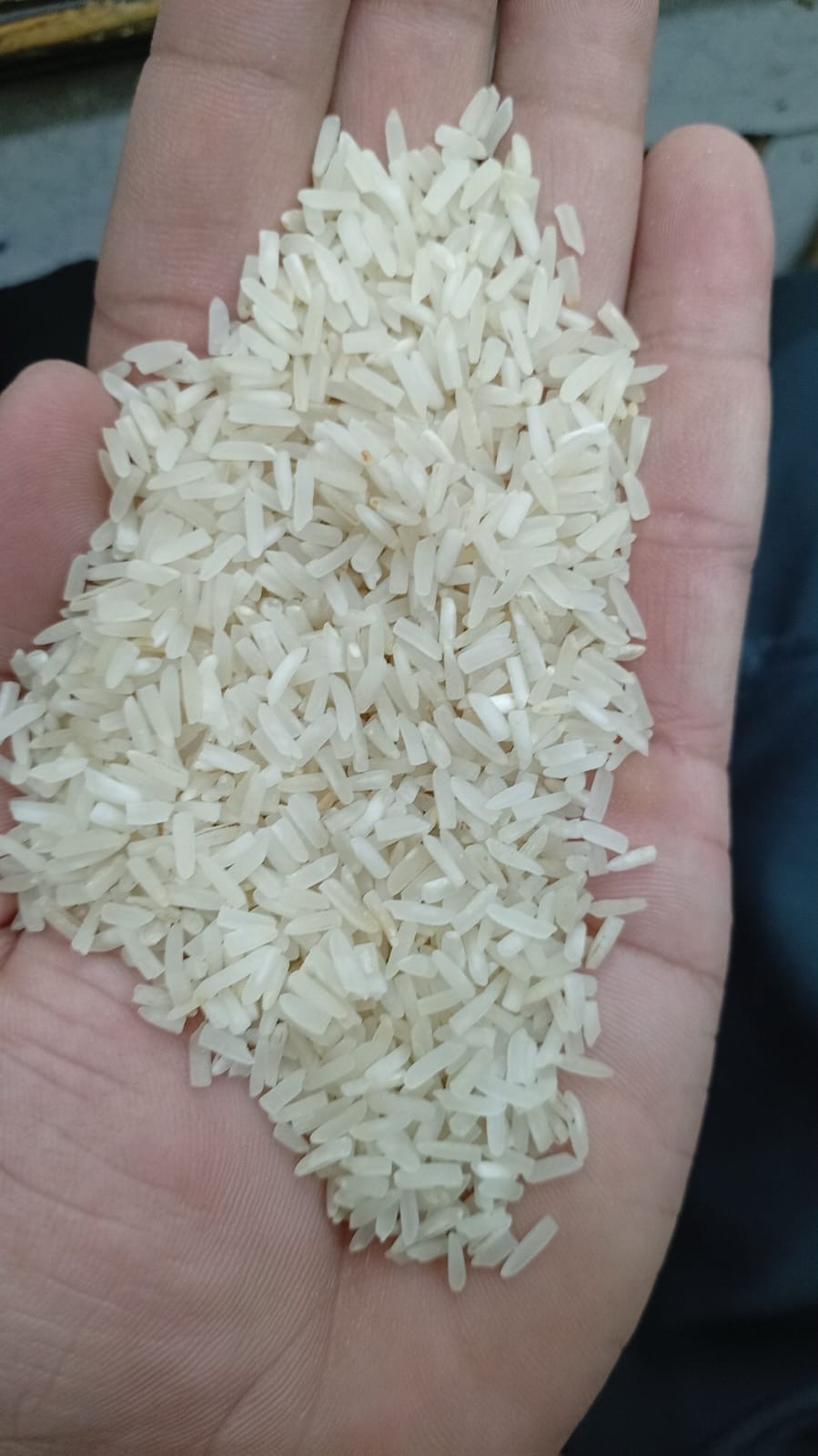 R-2 1847 new (2025-26)