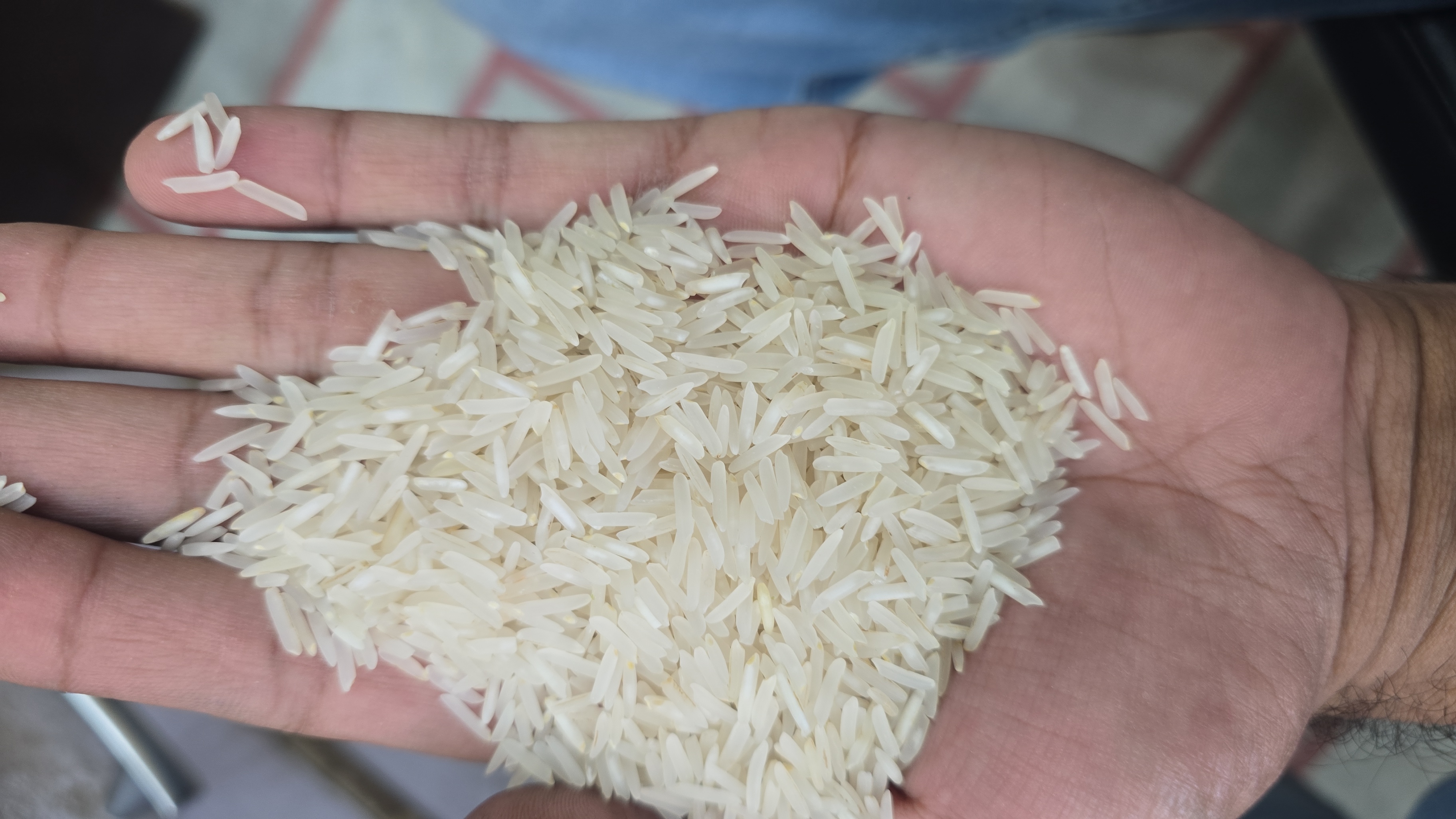 PB-7 New crop(2025-26)