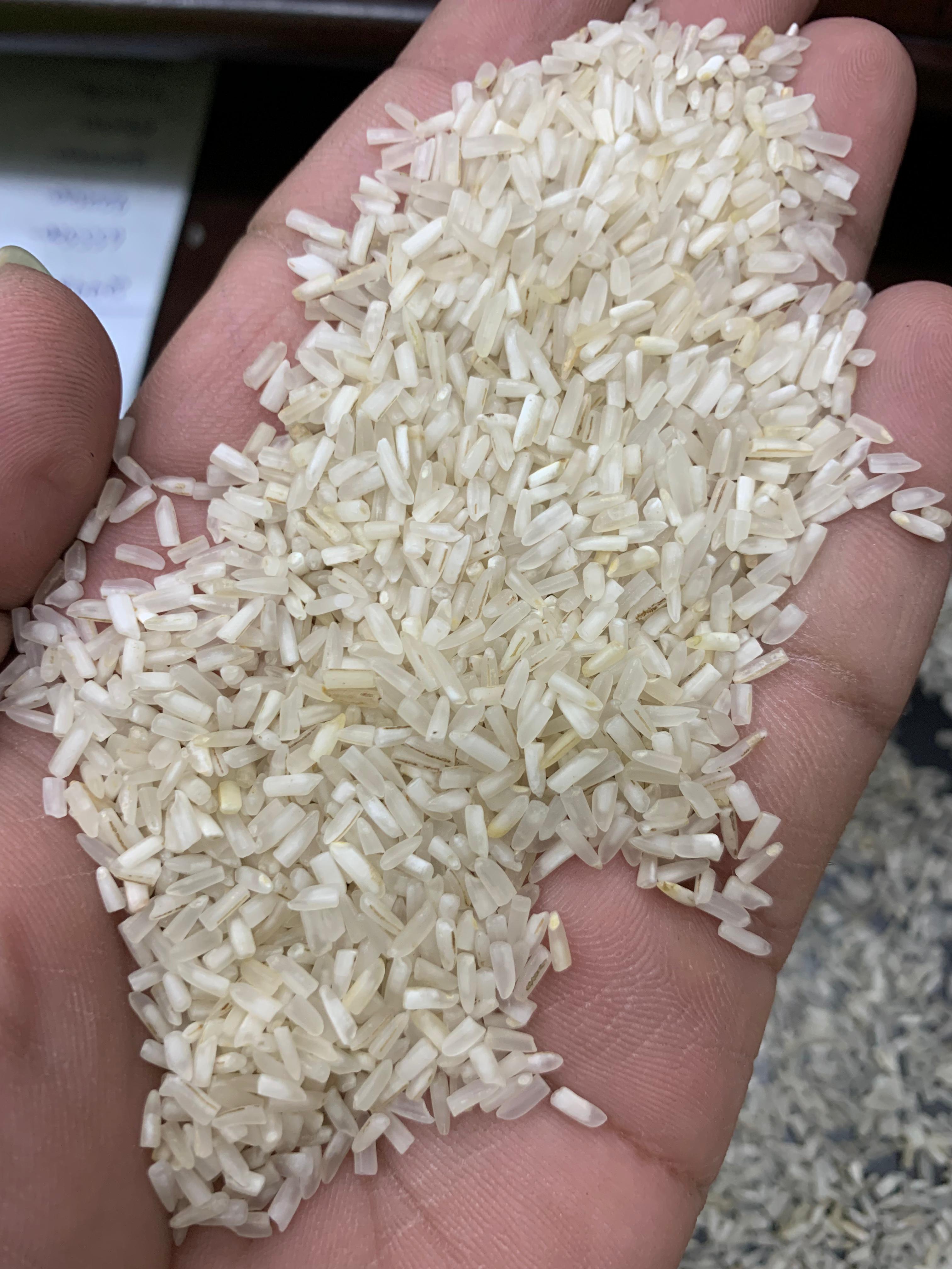 Tota b-1 silky (25-26)