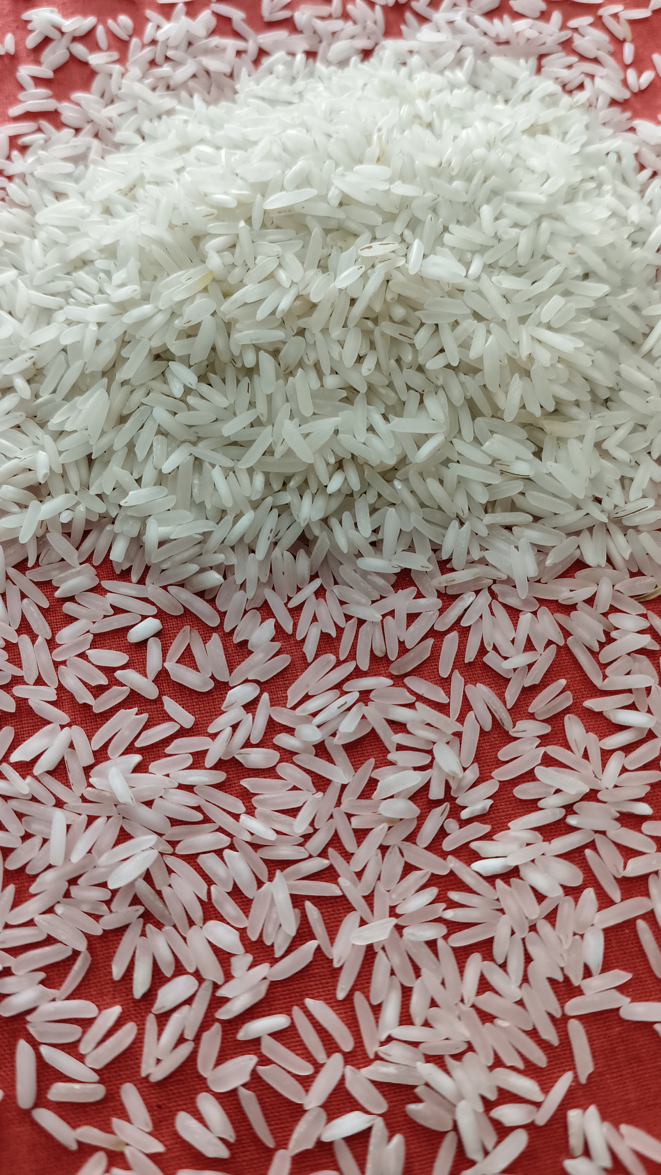 R-1 Super basmati 