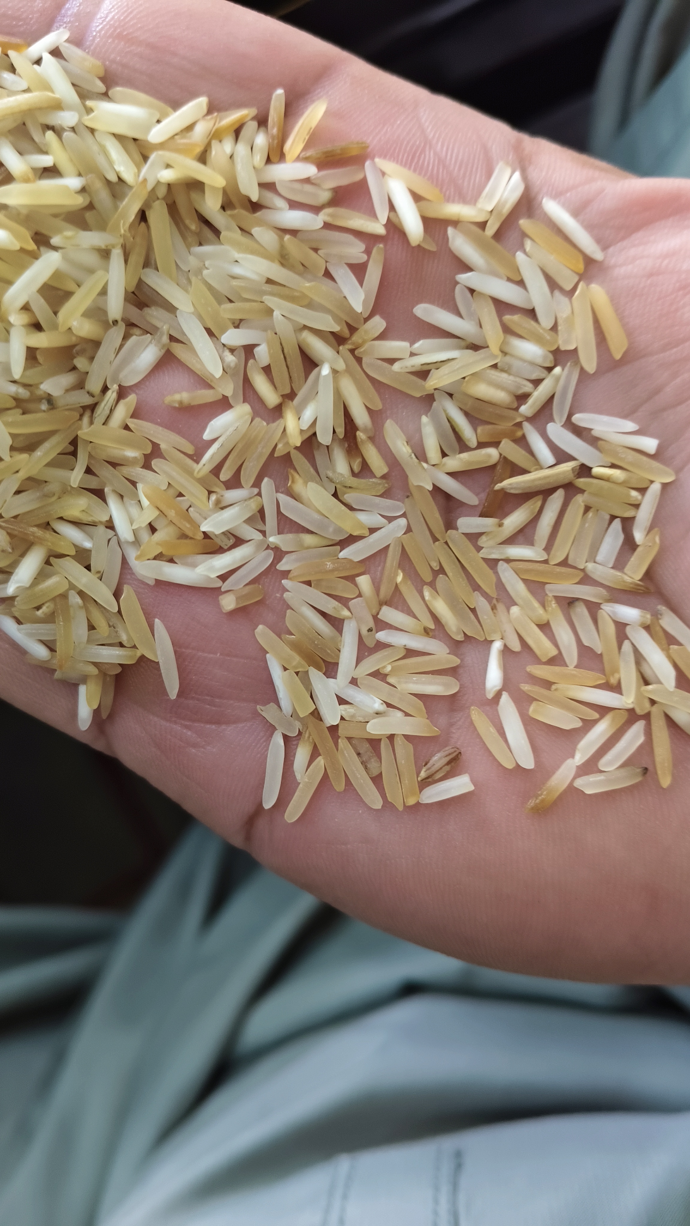 Rejection 1121 basmati sateam 