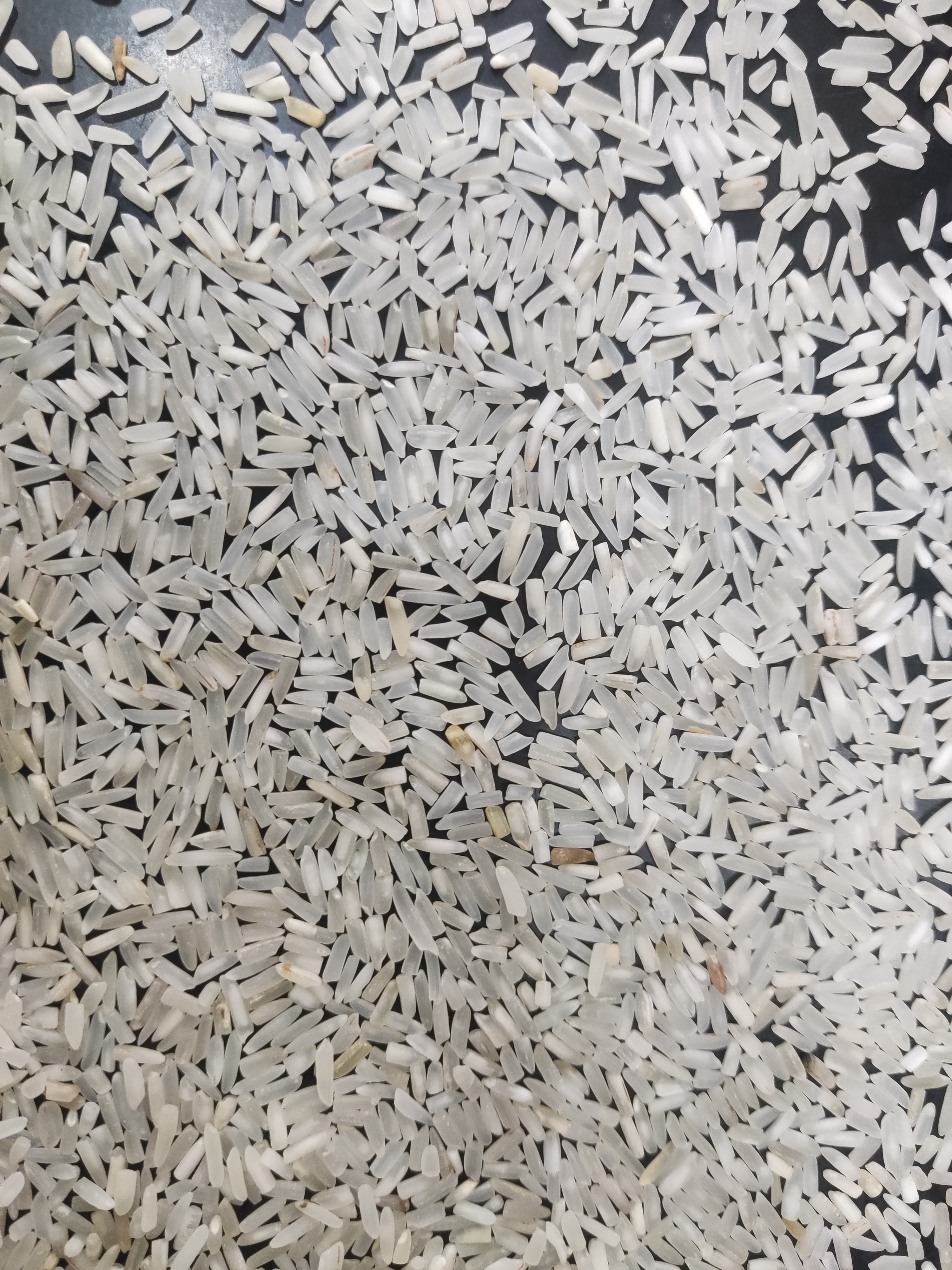 Short Grain