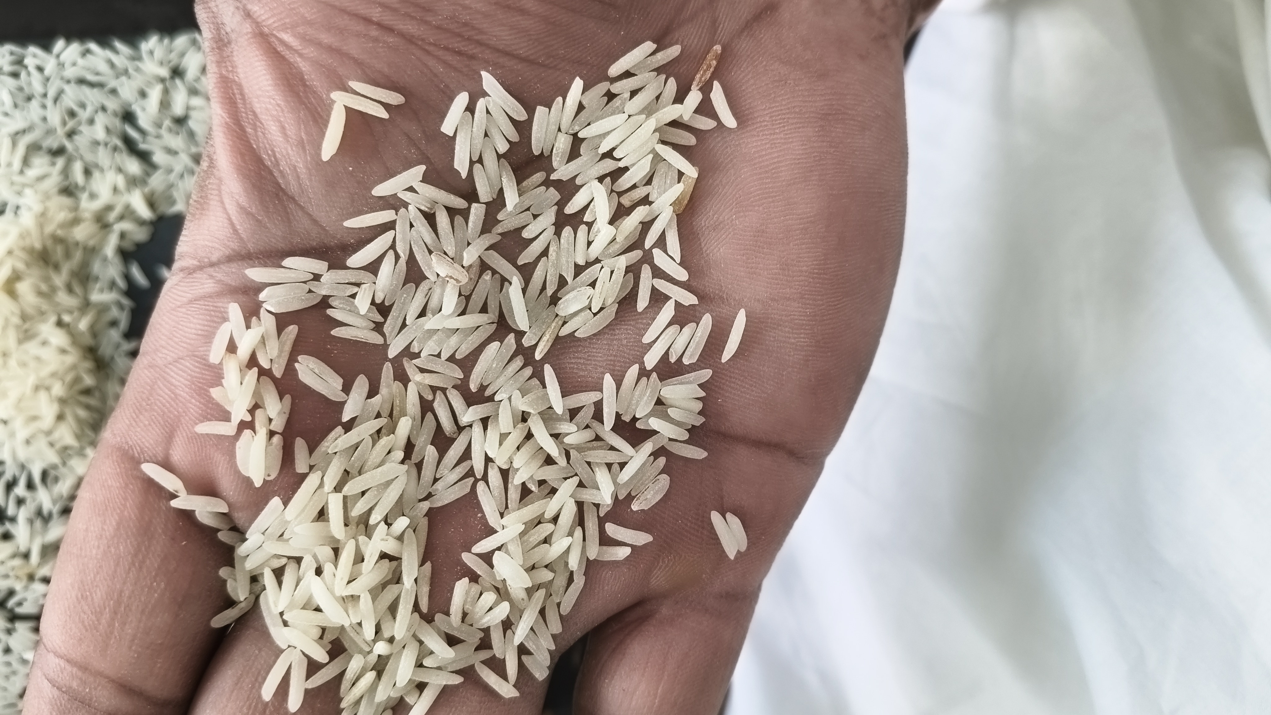 86 Red rice