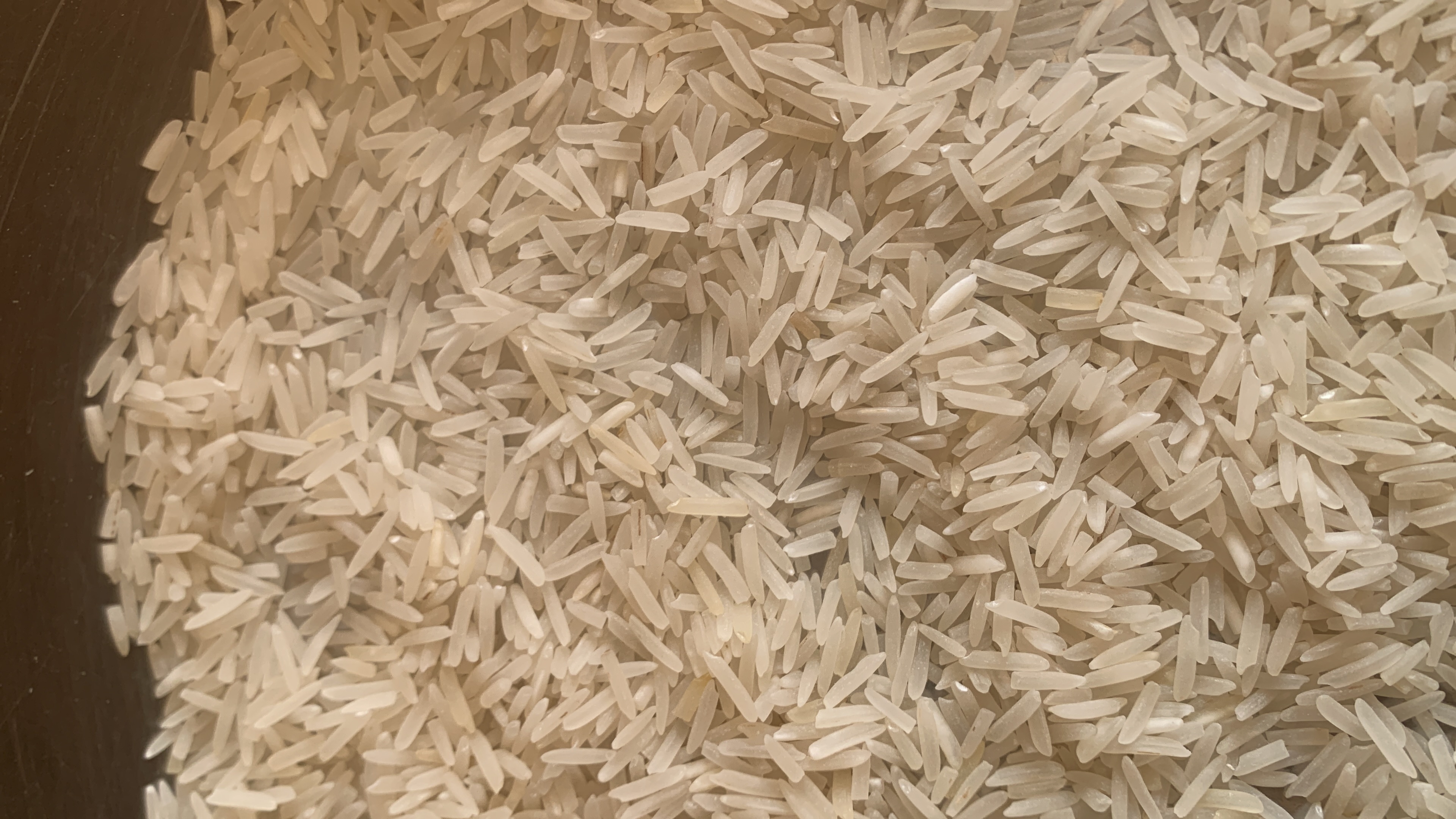 Rice 1847