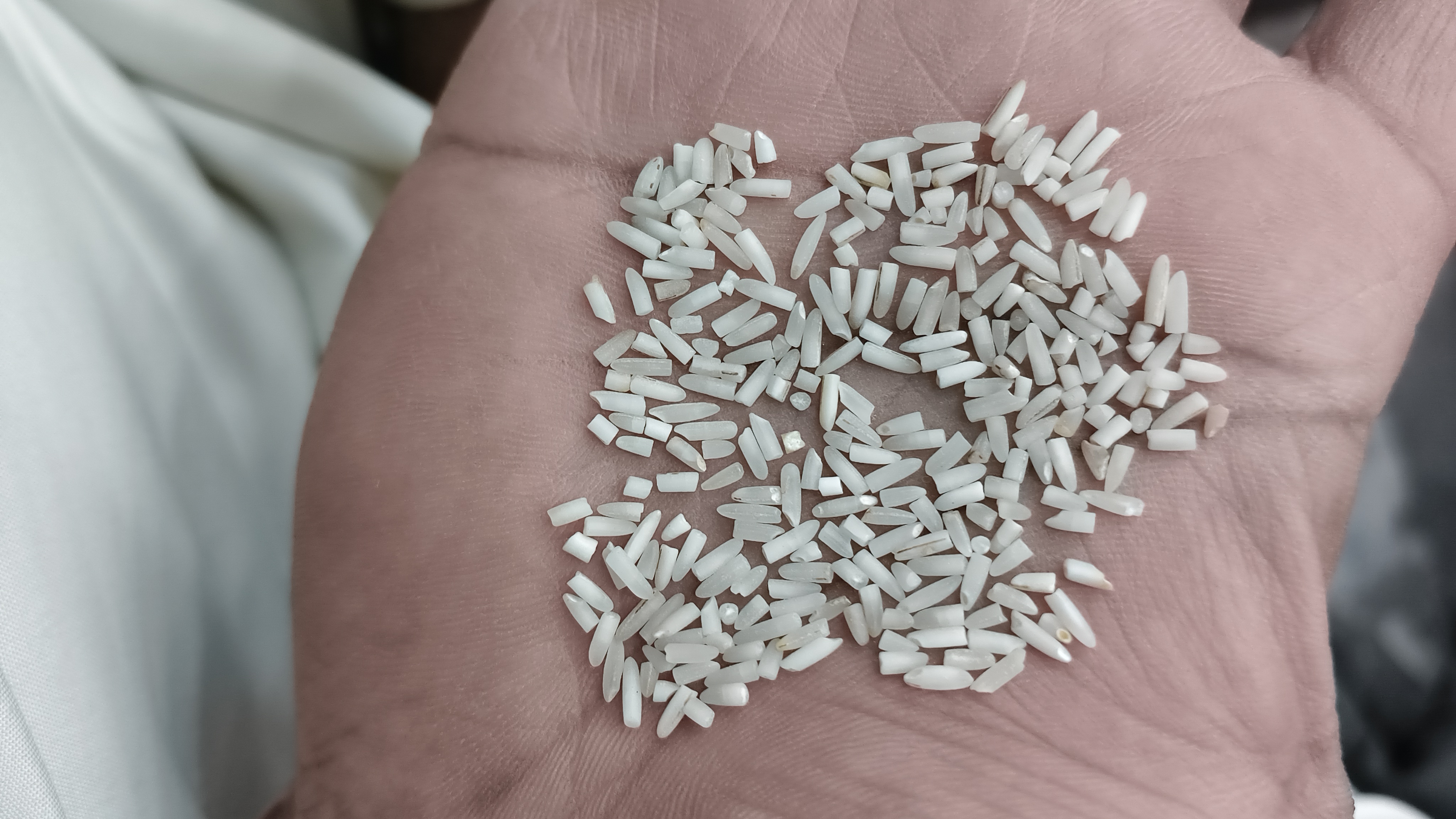 B-1 Super basmati 