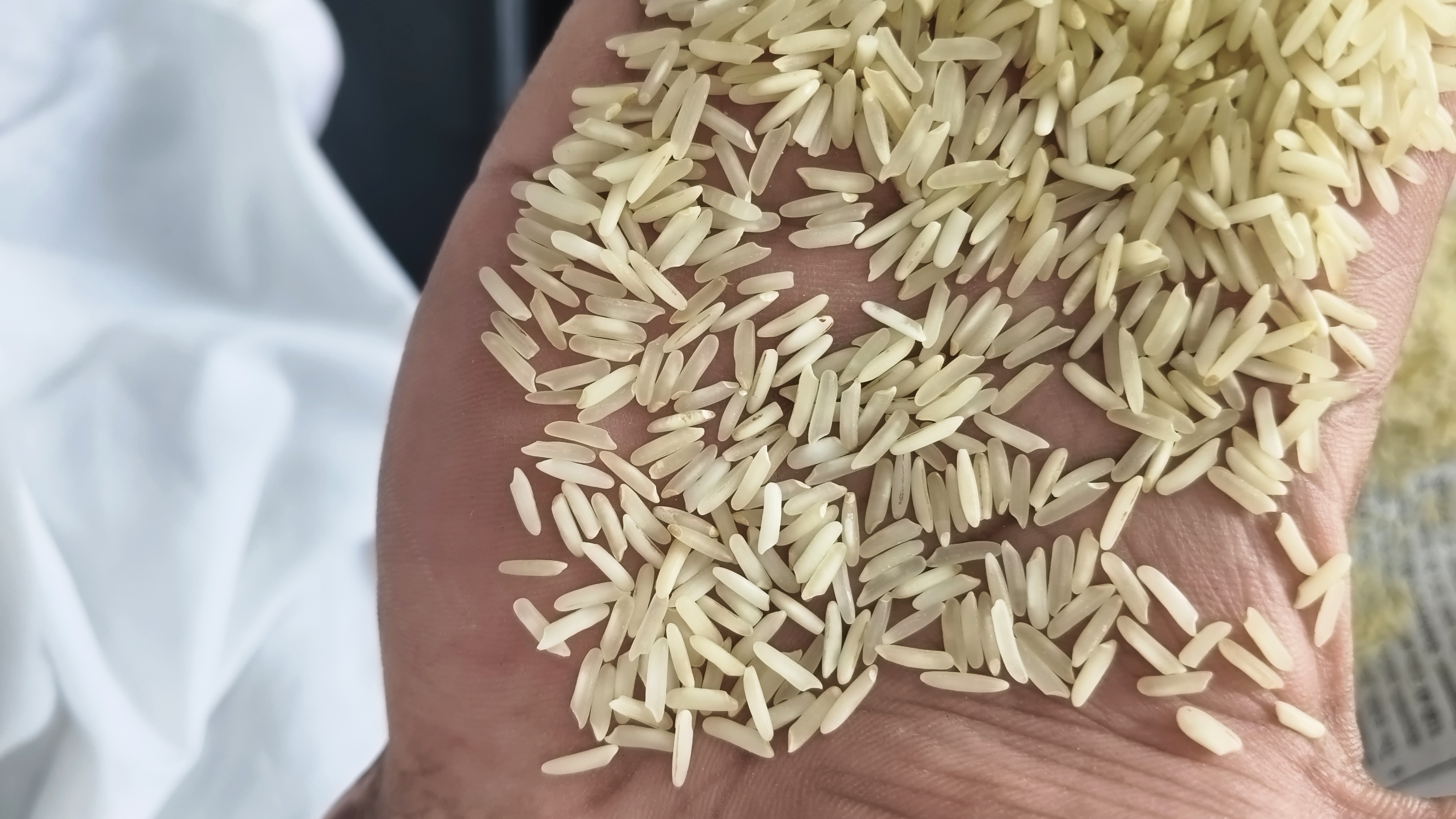 C9 sateam  rice 