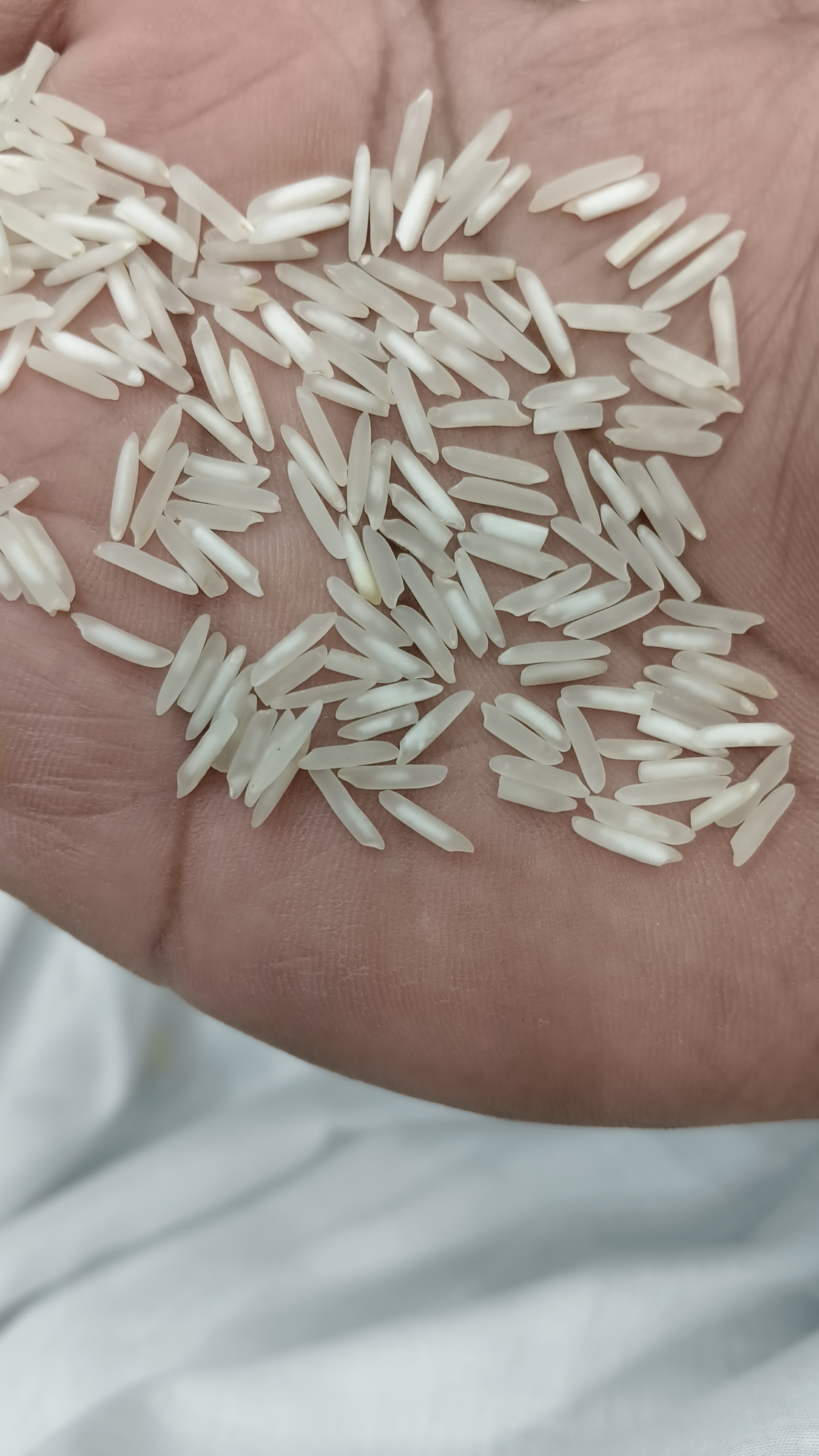 1121 basmati 