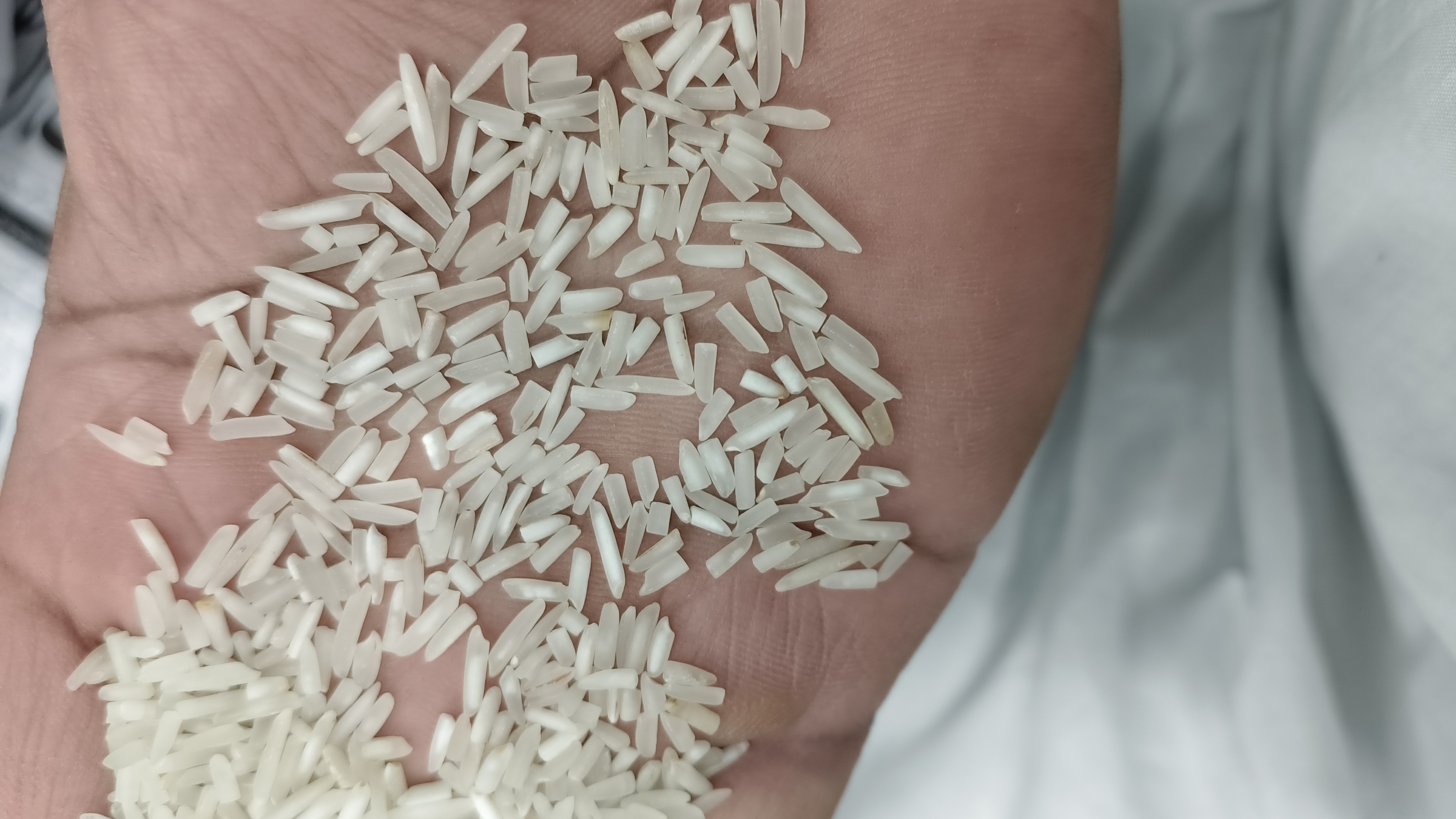 R-2 1121 basmati 