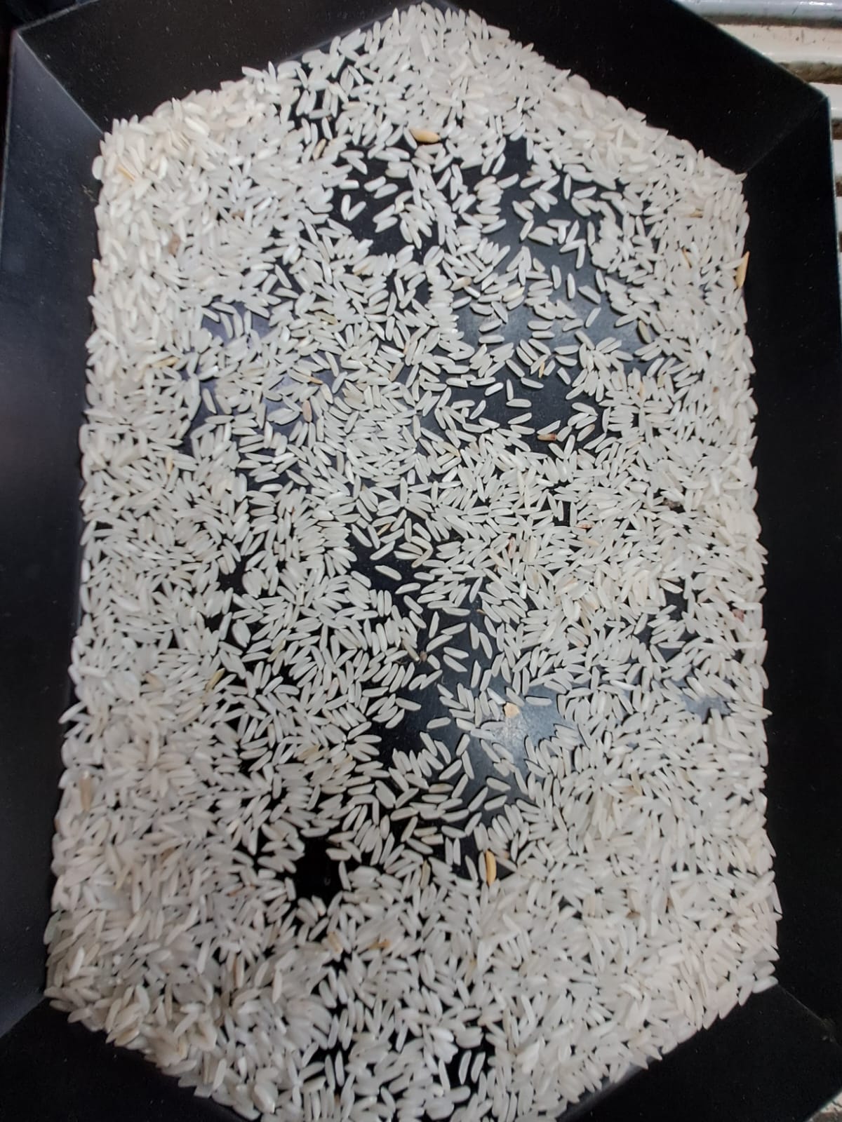 Supri basmati rice 