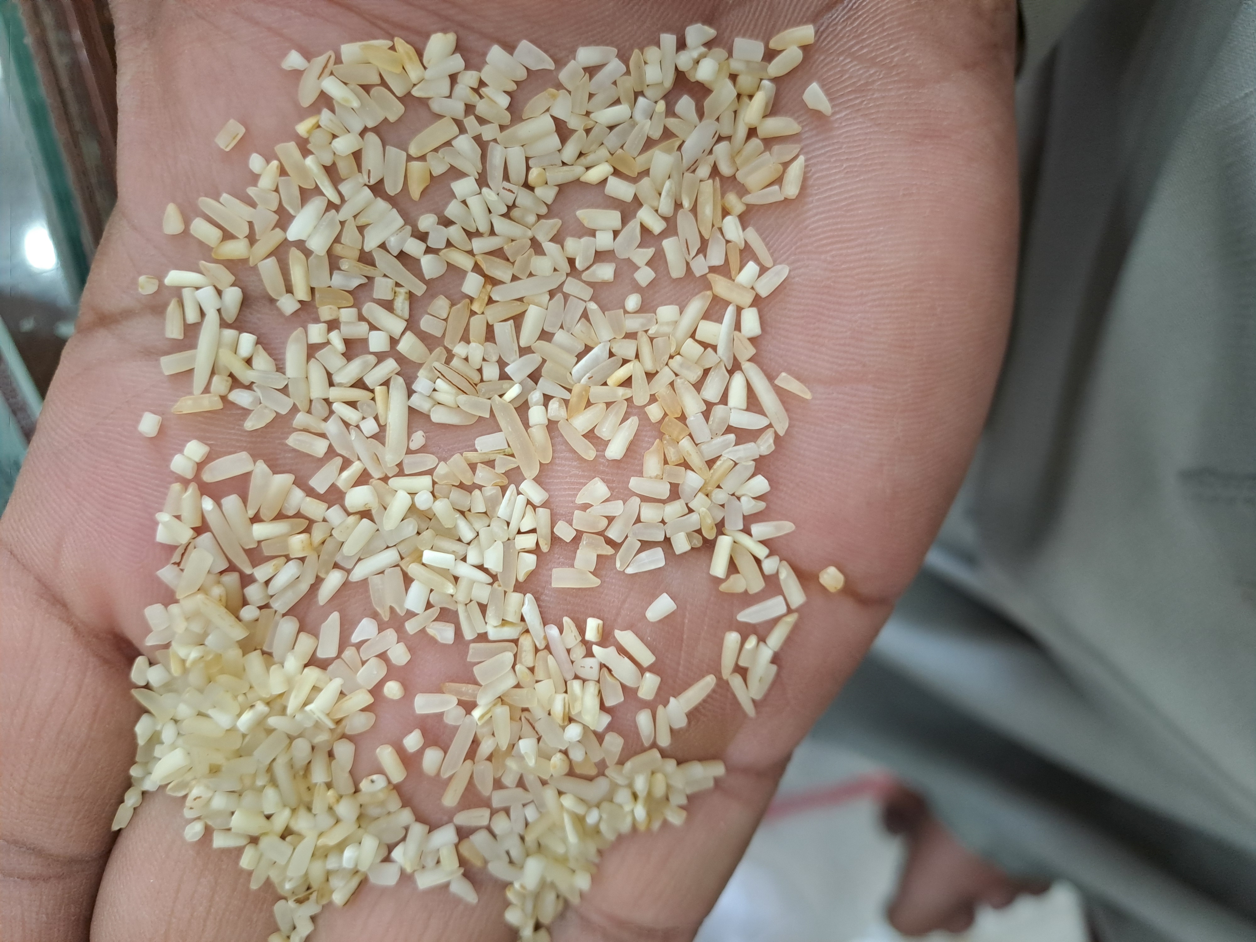 1847 basmati steam