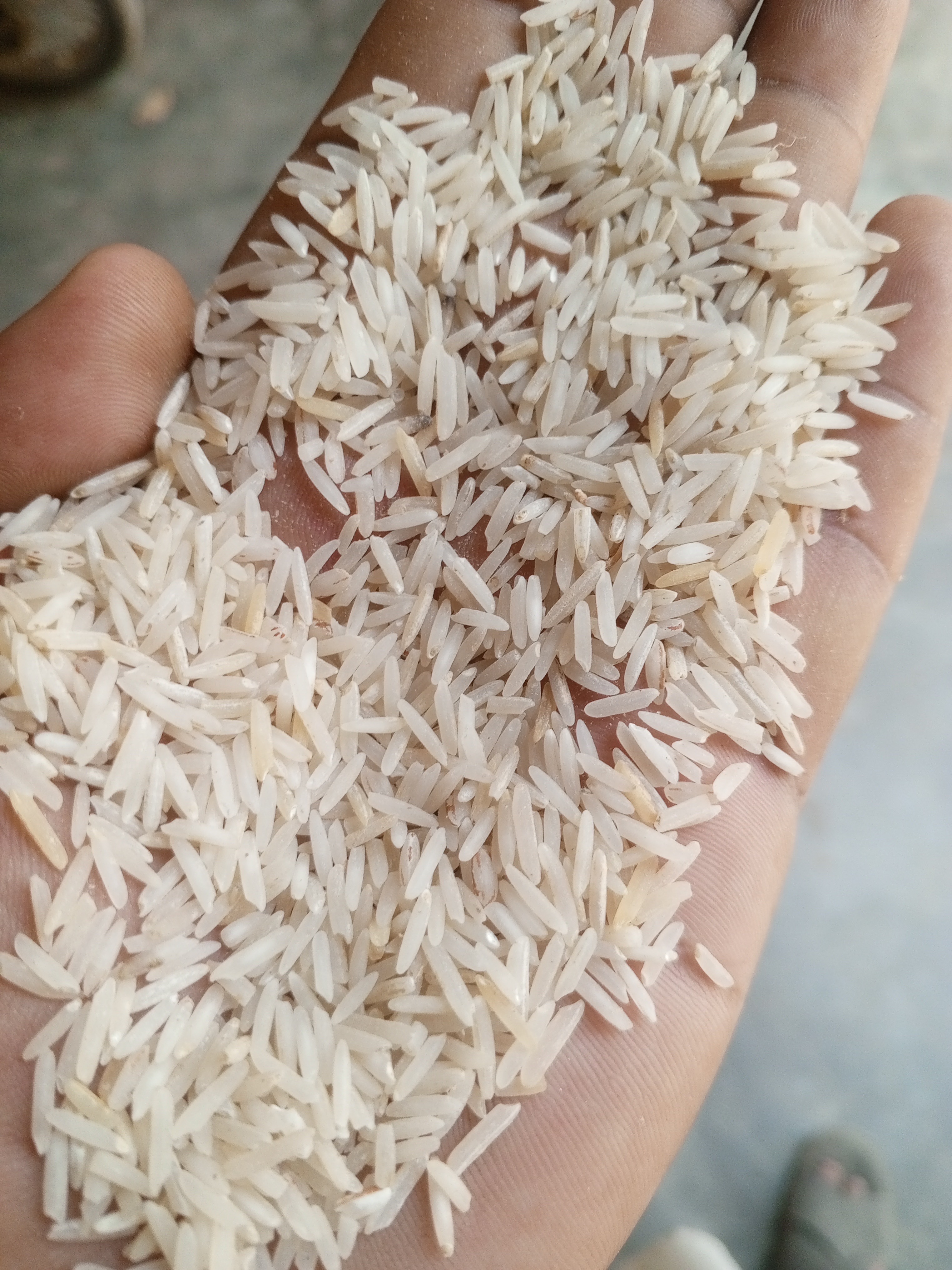 Super Basmati old 