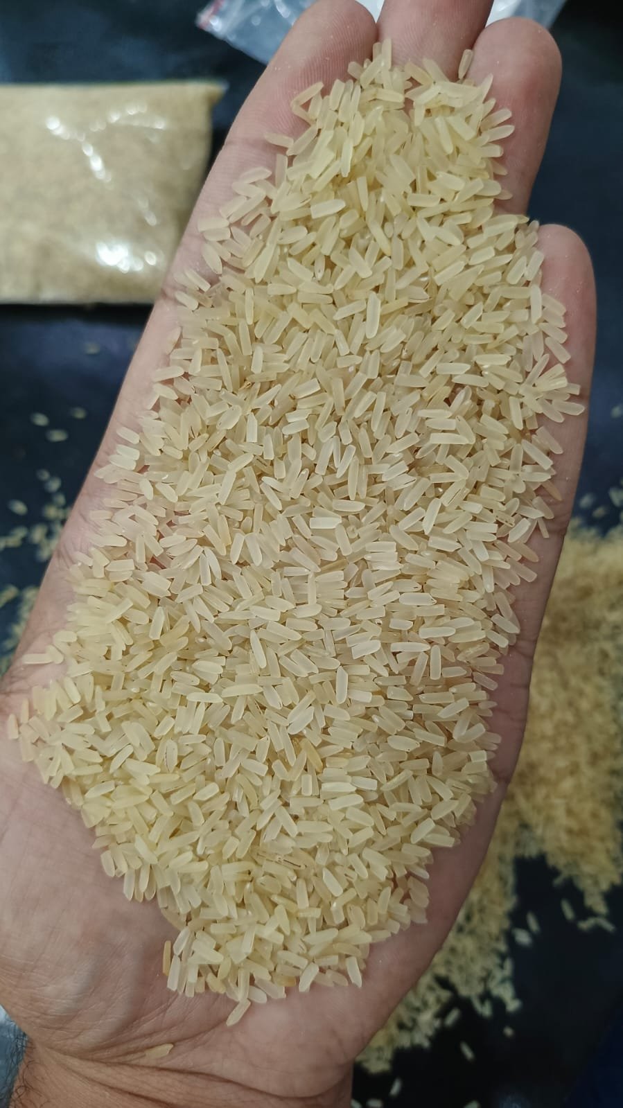 Short grain sella old 