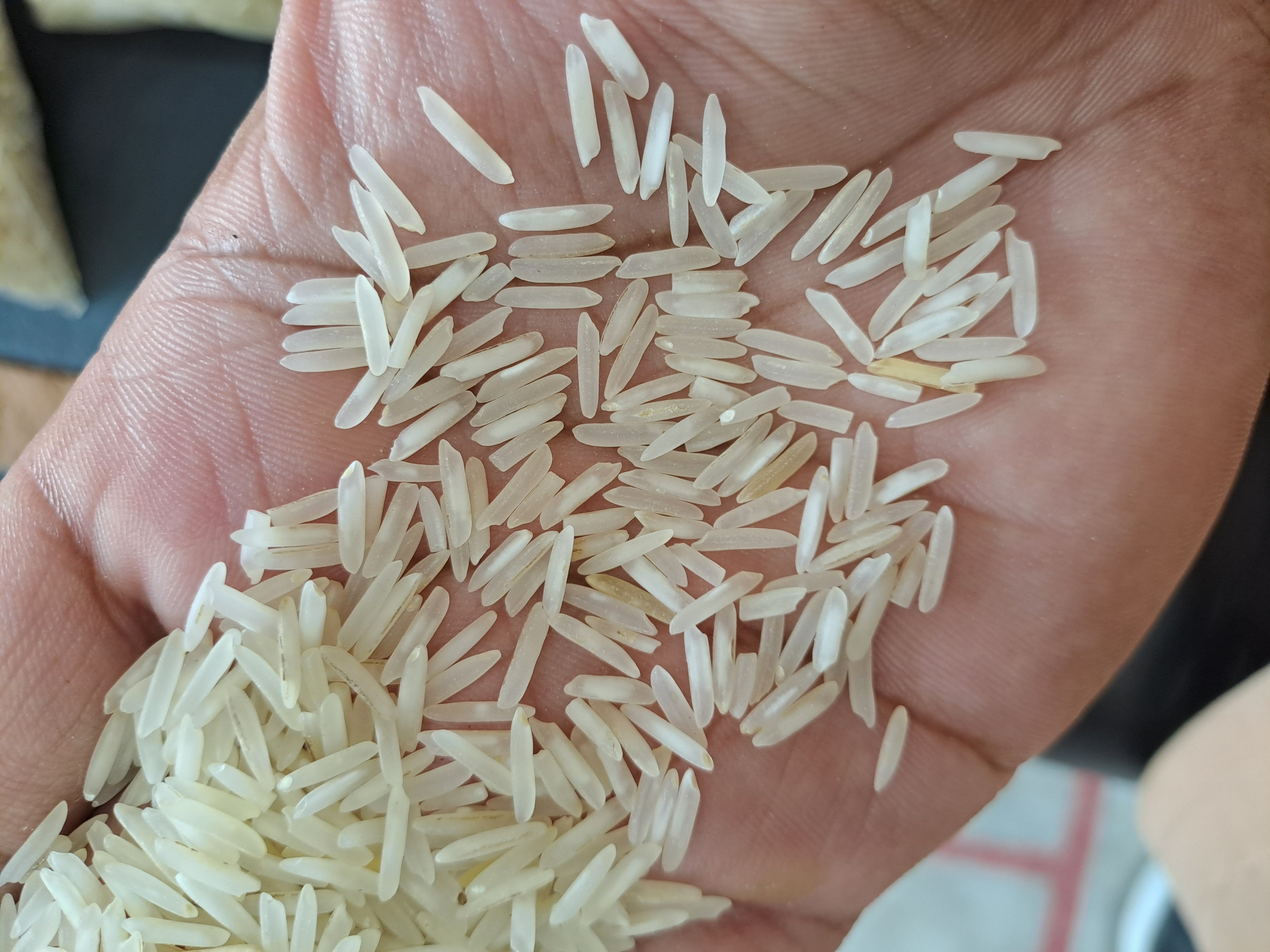 1509 basmati Steam New 