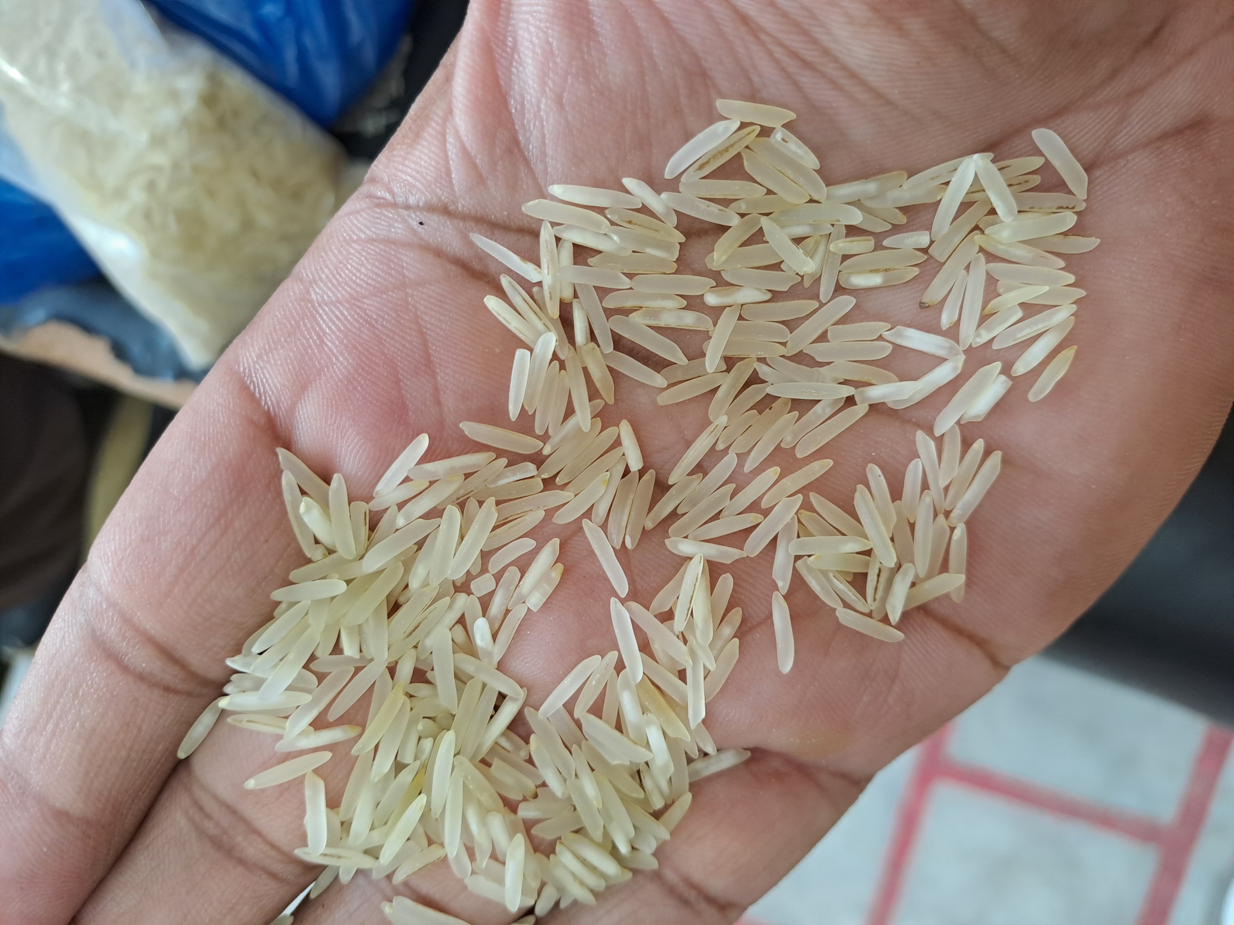 1509 Basmati Steam New 