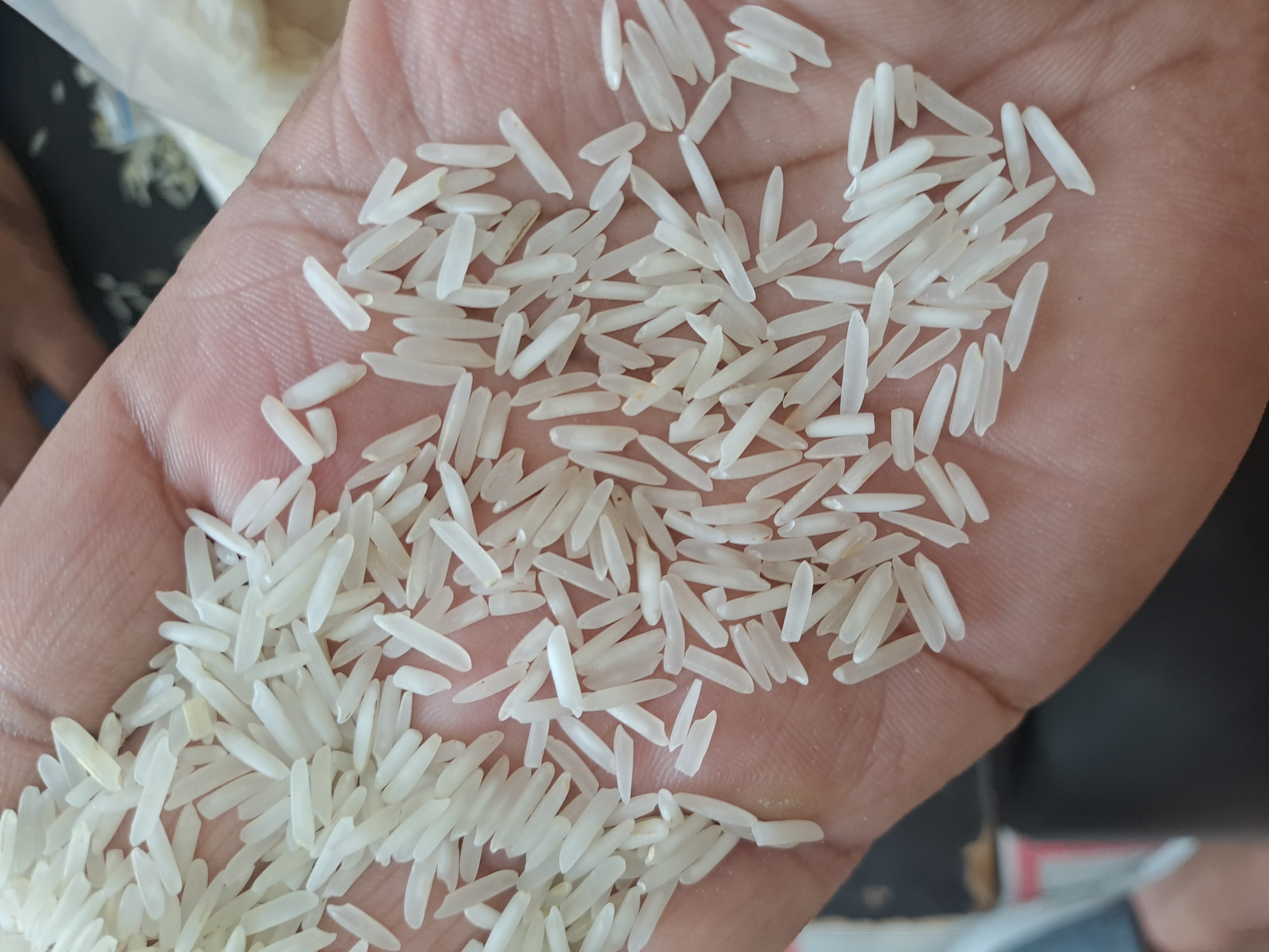 1121 basmati White old
