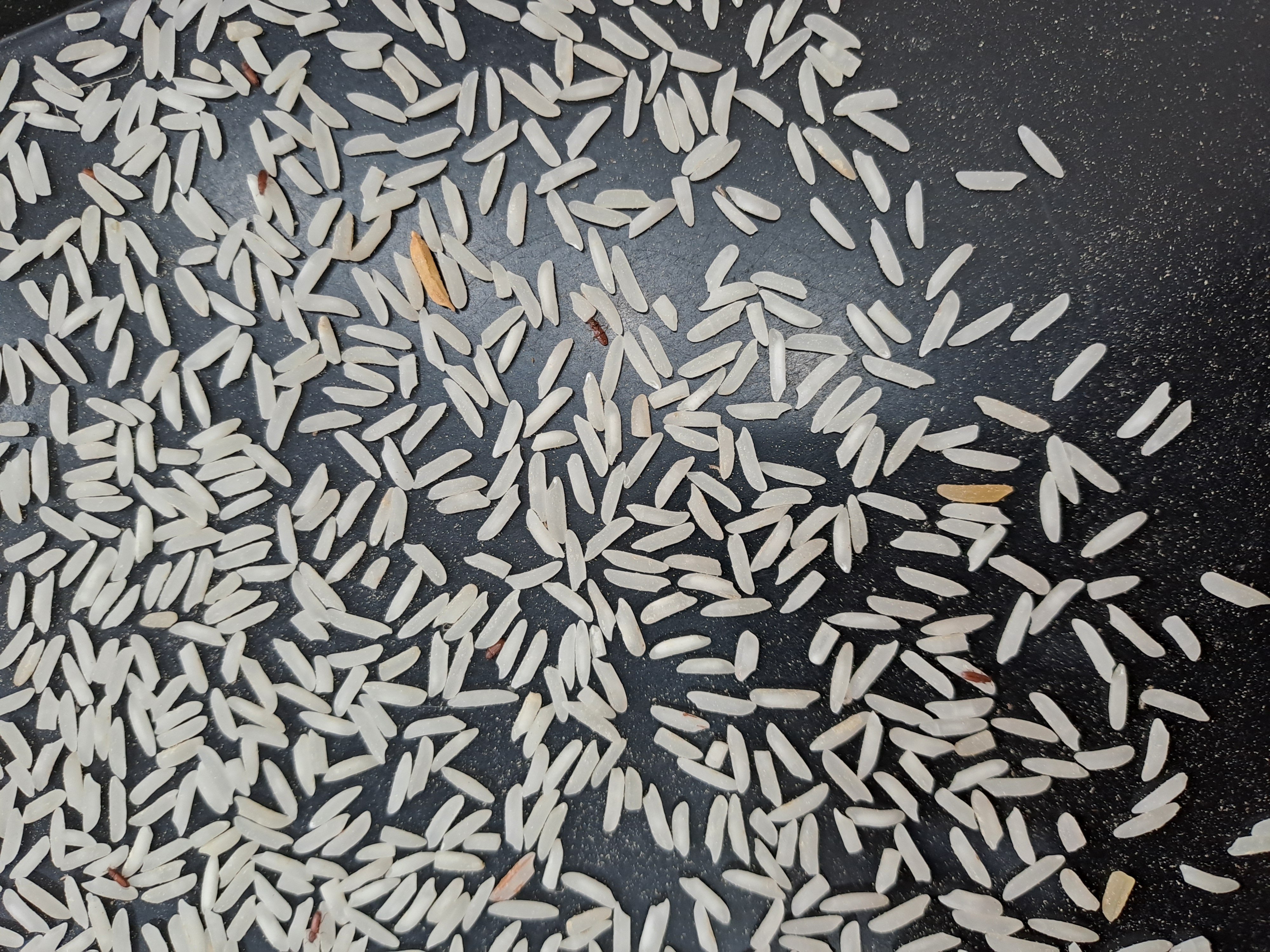 PK 386 Rice 