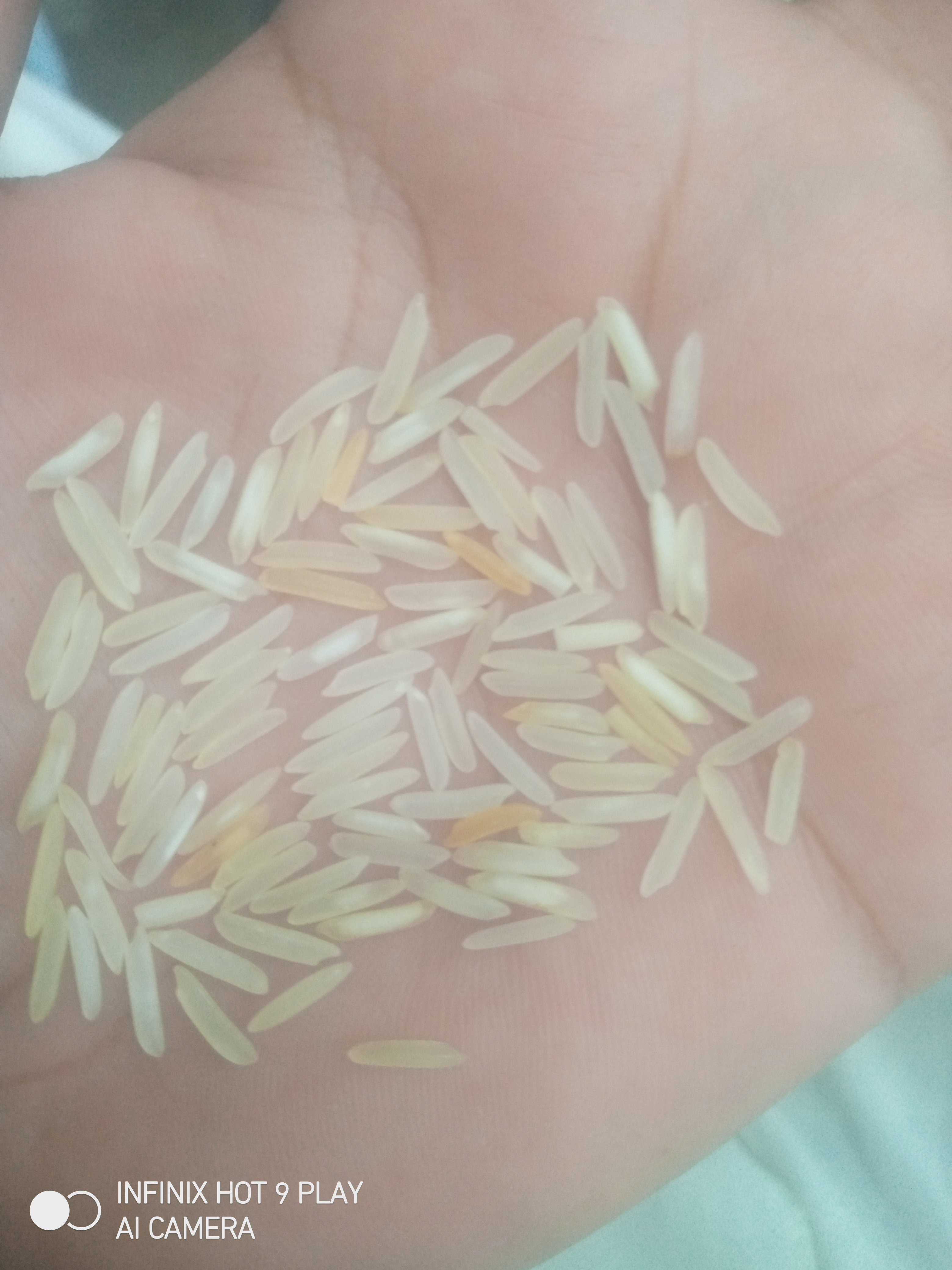 1509+1847 Steam Rice