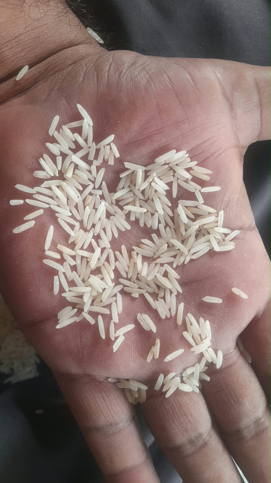 Super Basmati Old 