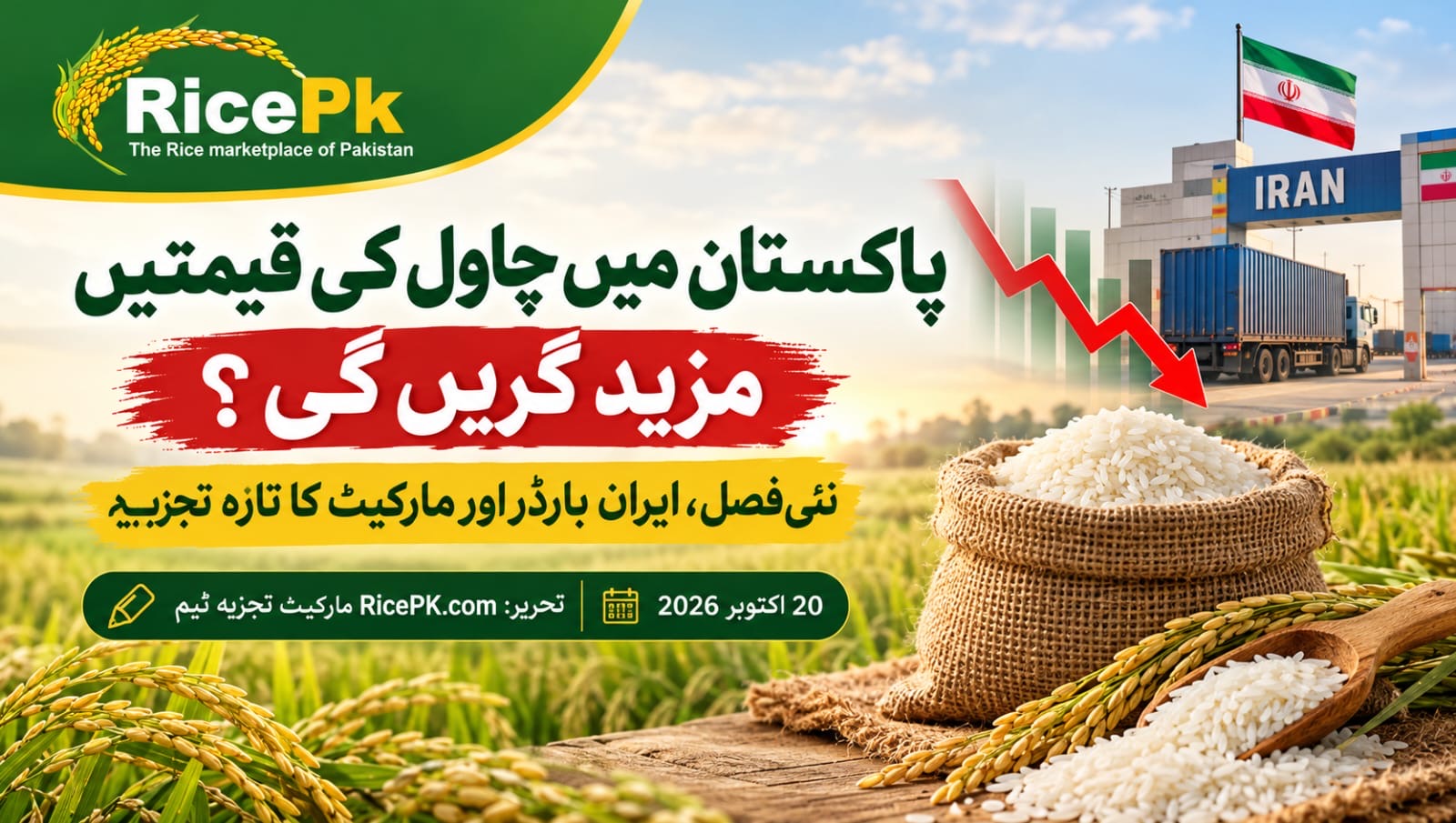 Will Rice Prices Fall Further in Pakistan? New Crop, Iran Border Disruption and Market Outlook